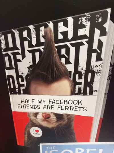 Ferrets Cover