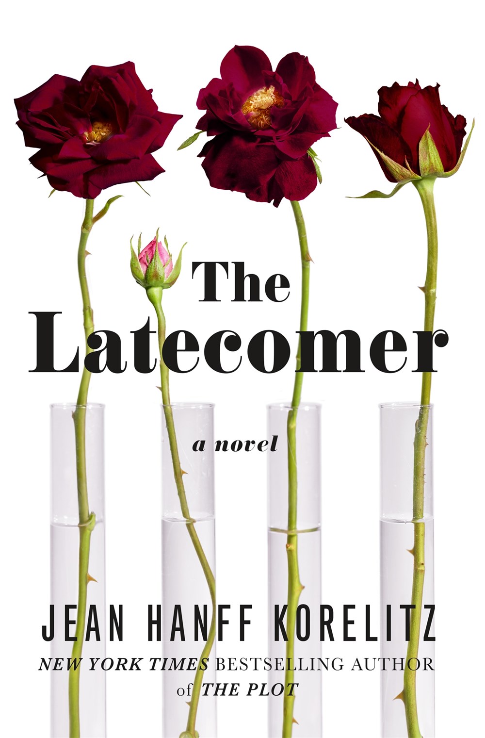 Latecomer Latecomer